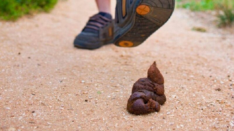 Cork City Council accused of ‘shrugging shoulders’ when it comes to dog fouling Cork City Council accused of ‘shrugging shoulders’ when it comes to dog fouling