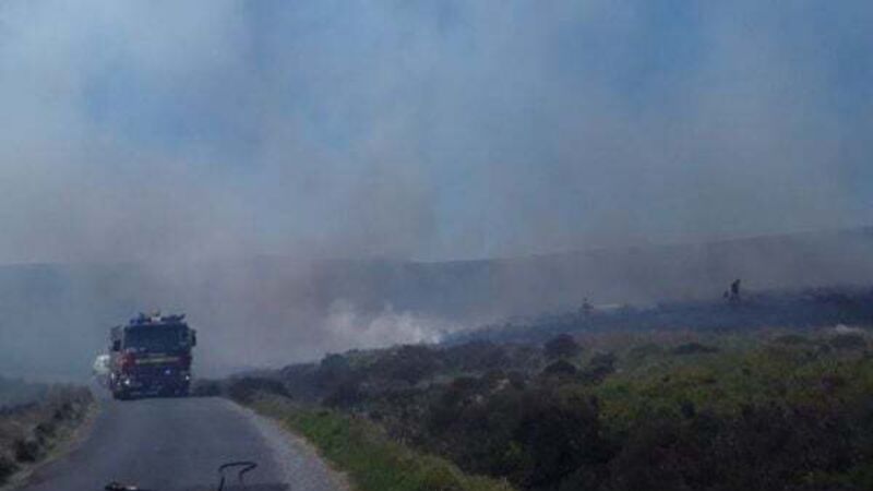 Firefighters in Wicklow put out major blaze