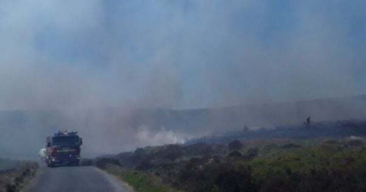 Firefighters in Wicklow put out major blaze - Vimarsana News