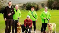 TopDog Golfer and Padraig Harrington support Irish Guide Dogs