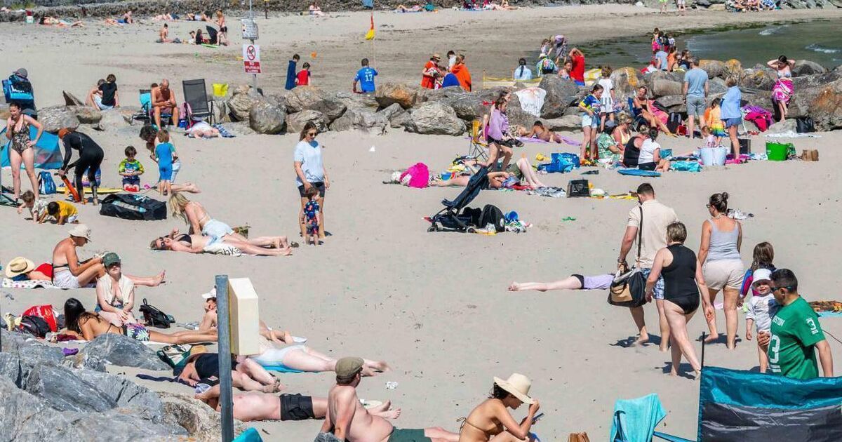 Diggers, mums, swimmers... characters of Cork's beaches - Vimarsana News