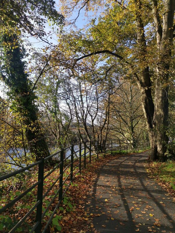 Enjoying a walk along the Banks of the Lee Walkway. Picture: Emma Dennehy