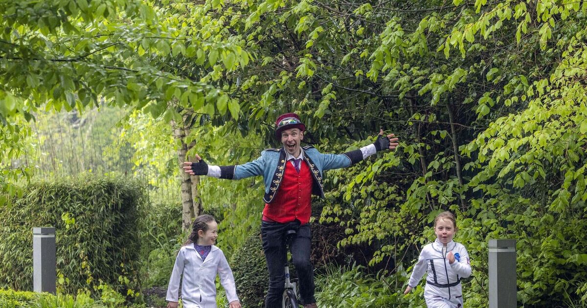 45+ free events to attend this weekend at Cork science festival - Vimarsana News