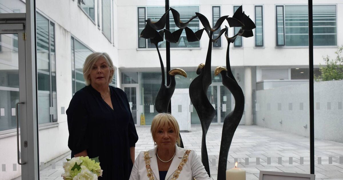 Lord Mayor opens book of condolences for GAA legend Teddy McCarthy - Vimarsana News