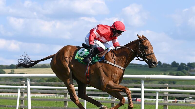 Cork jockey Jody Townend leading the way for Willie Mullins