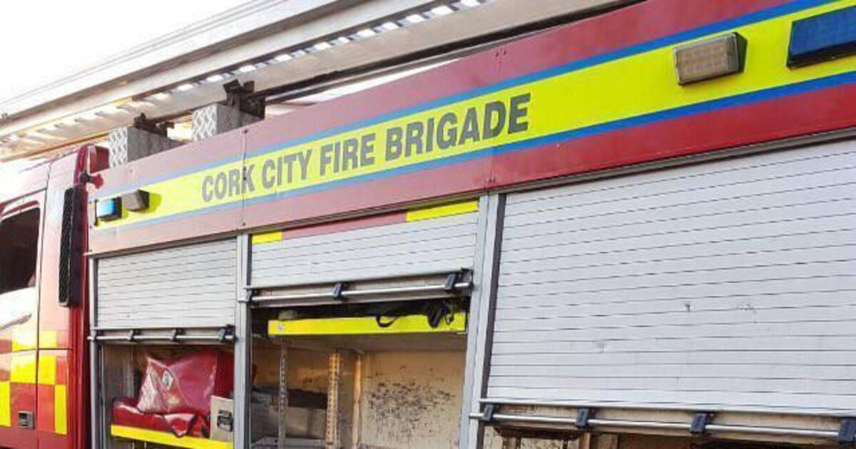 Man (20s) rescued by Cork City Fire Brigade following fall in city centre - Vimarsana News