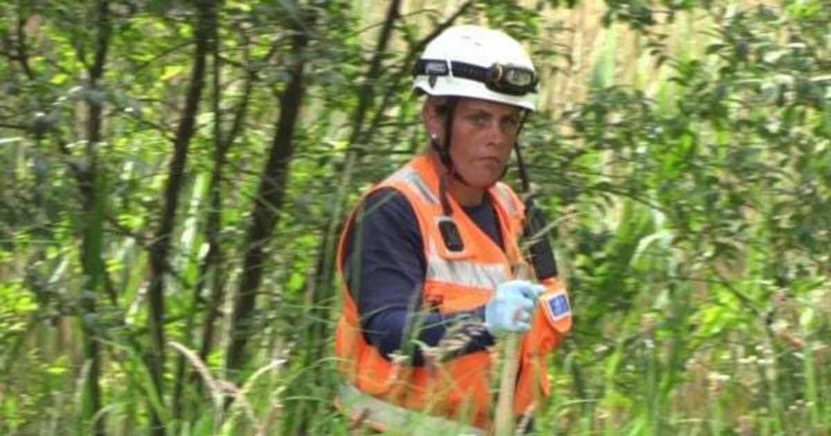 Second man arrested as search for Chloe Mitchell continues - Vimarsana News