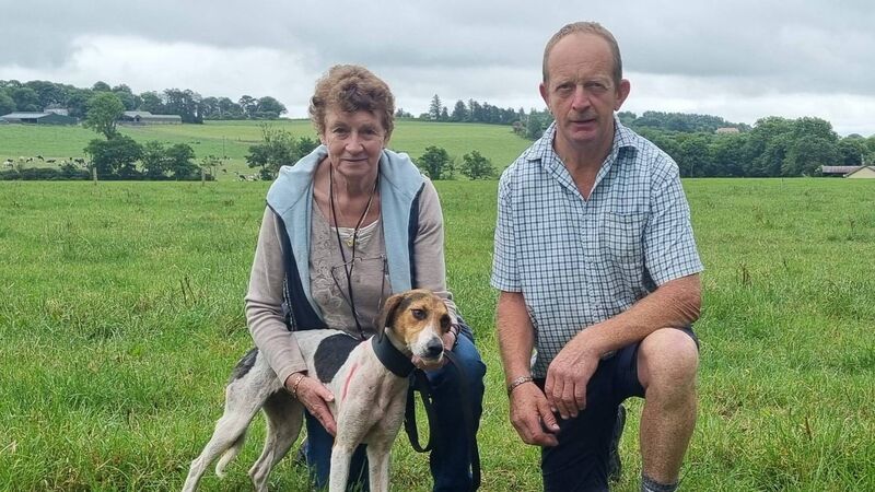 Cork Draghunting: High Miss blazes to maiden win in Seanie Walsh Memorial