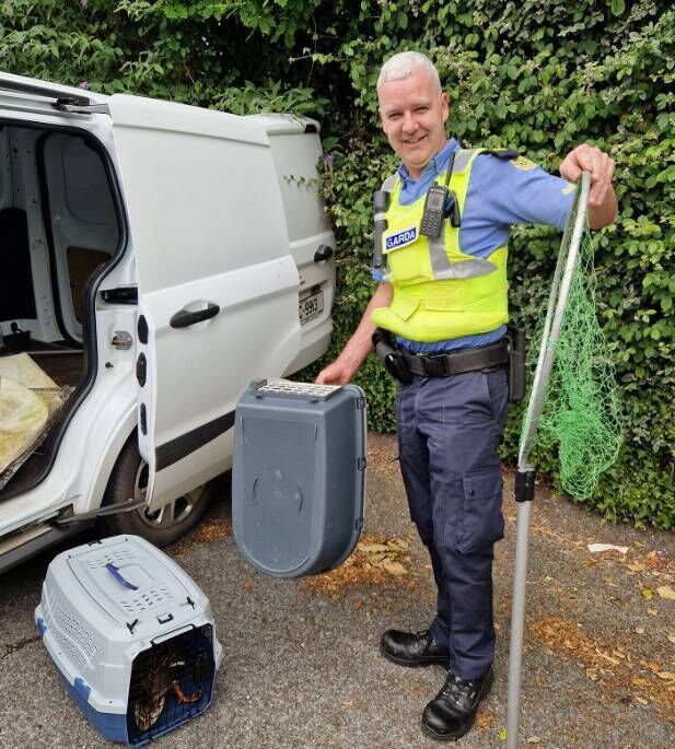 Garda Tommy Ryan from Bishopstown Garda Station, who assissted the stranded ducks. Picture: Wildlife Rescue Cork Garda Tommy Ryan from Bishopstown Garda Station, who assissted the stranded ducks. Picture: Wildlife Rescue Cork