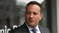 ‘Bespoke energy scheme’ could be introduced to help Tara Mines, says Varadkar