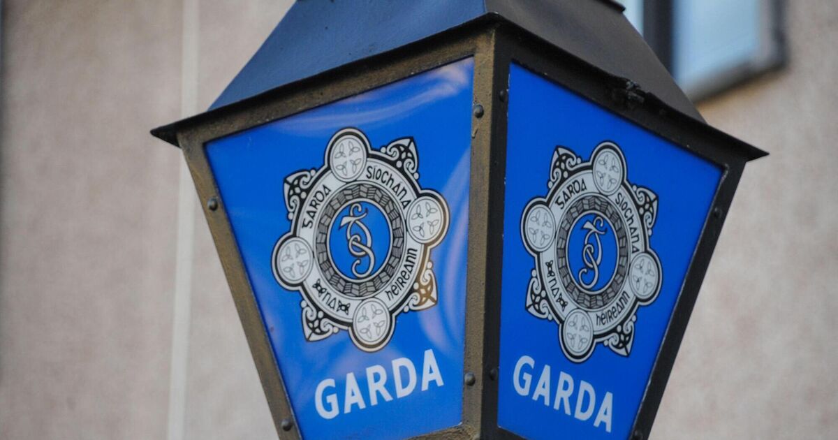 Gardaí appeal for public assistance to trace missing Cork teenager - Vimarsana News