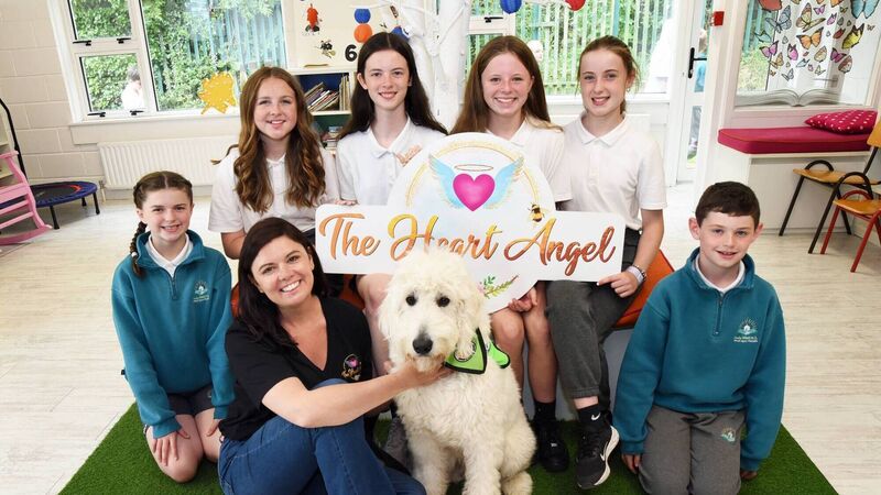 Cork charity makes a difference with random acts of kindness