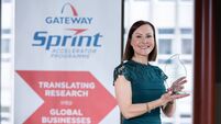 Working to optimise maternal gut health during pregnancy
