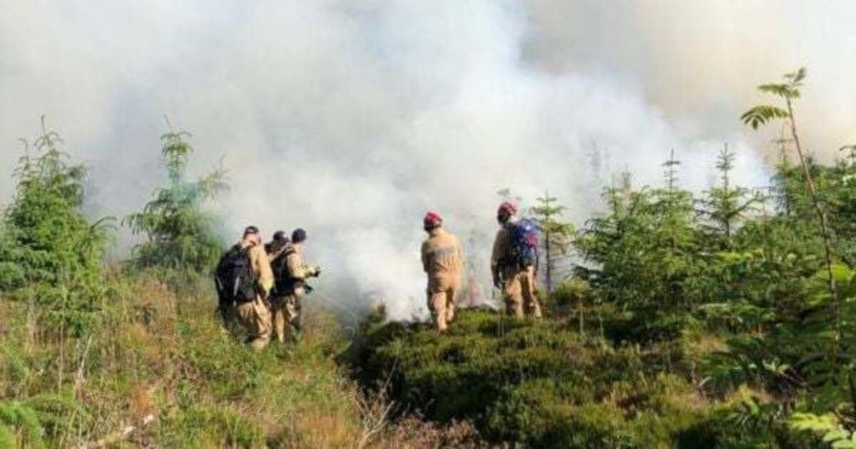 Gorse wildfires in Co Antrim downgraded from major incident after three-day blaze - Vimarsana News