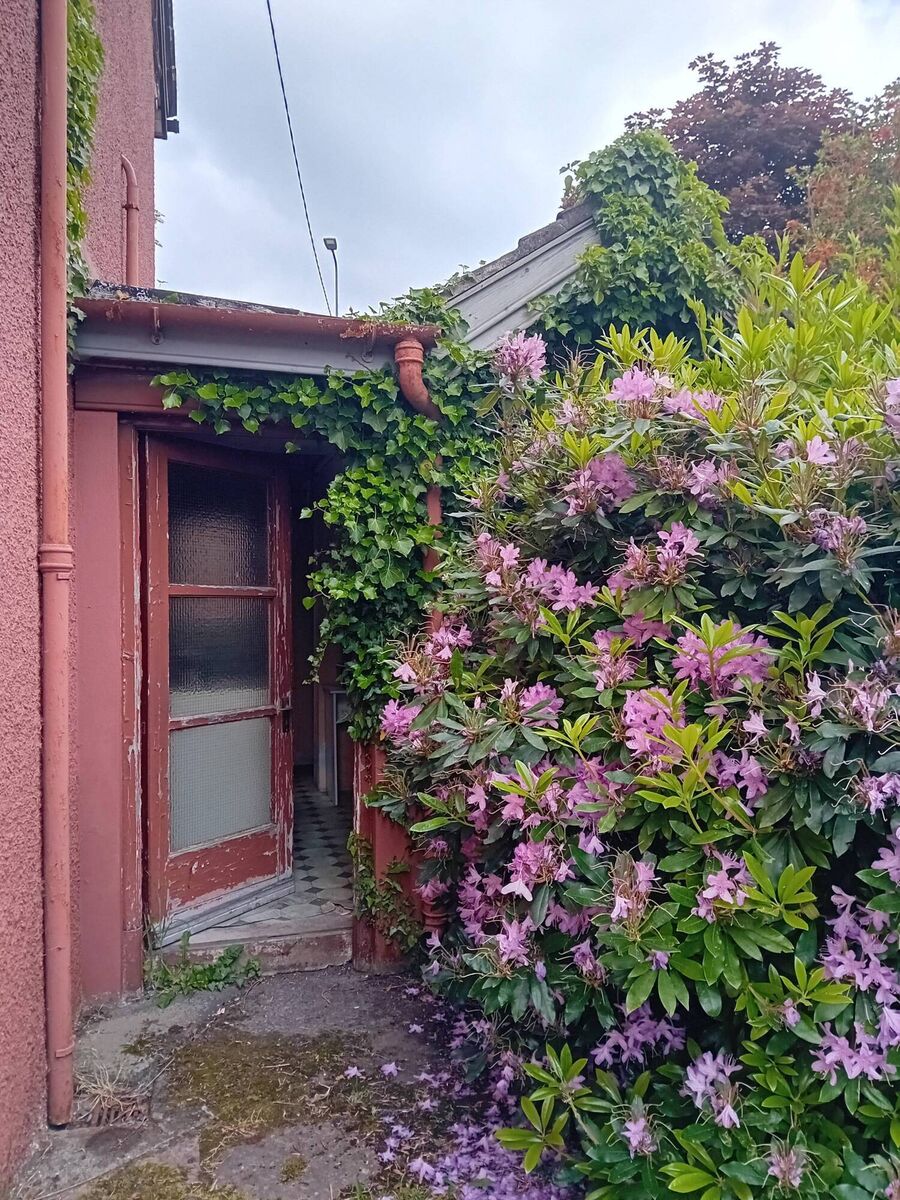 The property at Gurteenroe.