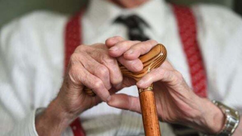 Calls for Government to increase State pension in next budget