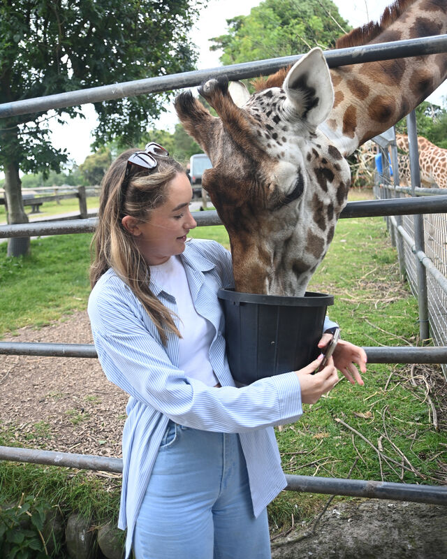 Freelance reporter Tara Maher gets to feed the giraffes during a 'behind the scenes' tour of the park with Willie Duffy. Picture Larry Cummins Freelance reporter Tara Maher gets to feed the giraffes during a 'behind the scenes' tour of the park with Willie Duffy. Picture Larry Cummins