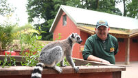 Fota Wildlife Park in Cork gears up to celebrate 40th anniversary this weekend