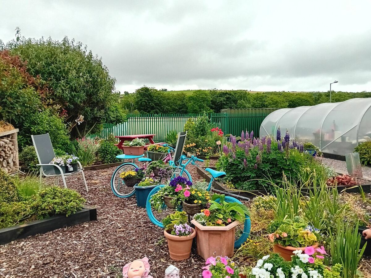 One of the areas maintained by Ballincollig Tidy Towns.
