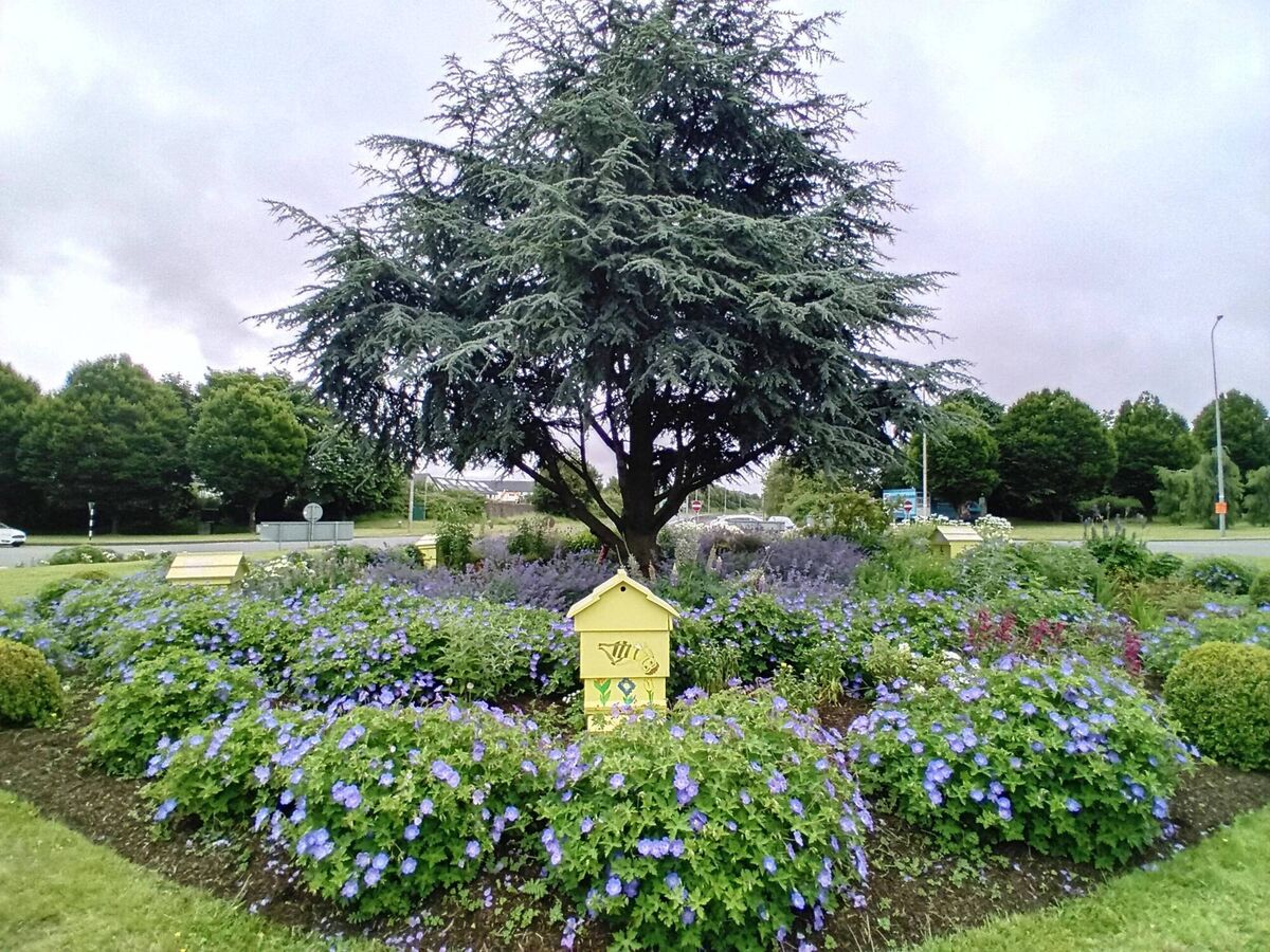 One of the areas maintained by Ballincollig Tidy Towns.