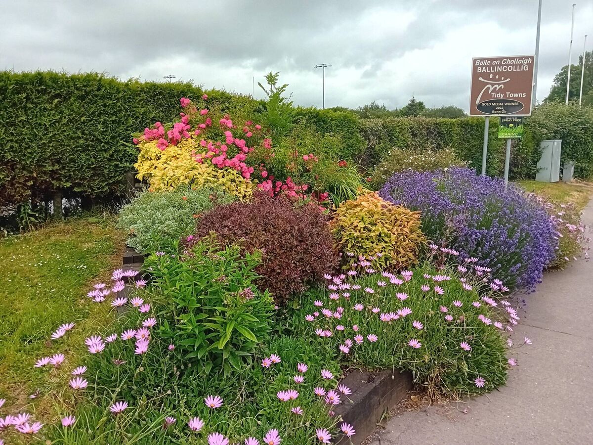 One of the areas maintained by Ballincollig Tidy Towns.