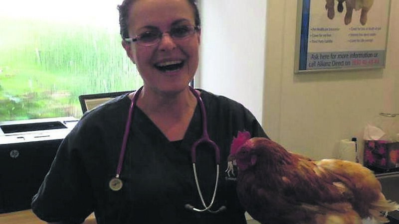 'My nurses scattered' when 10ft epileptic python was brought in: Cork vet on all creatures great and small...and very strange