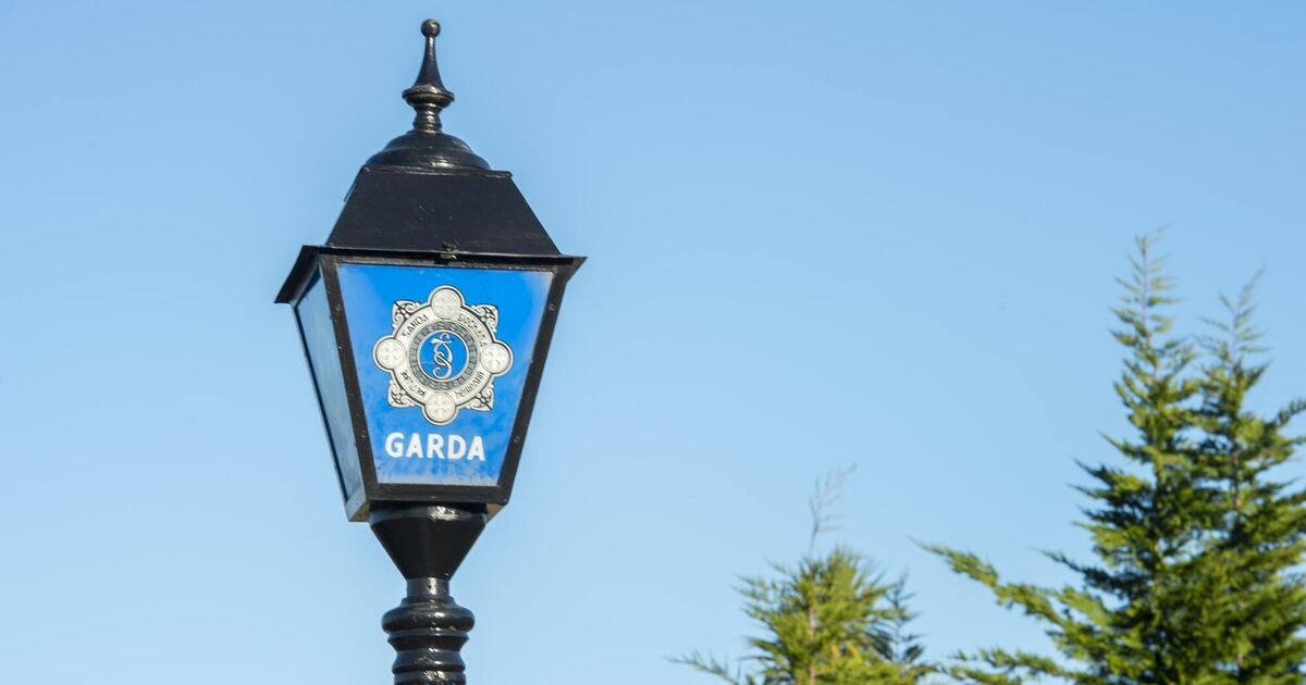 Gardaí renew appeal for information on fatal assault in Cork city - Vimarsana News