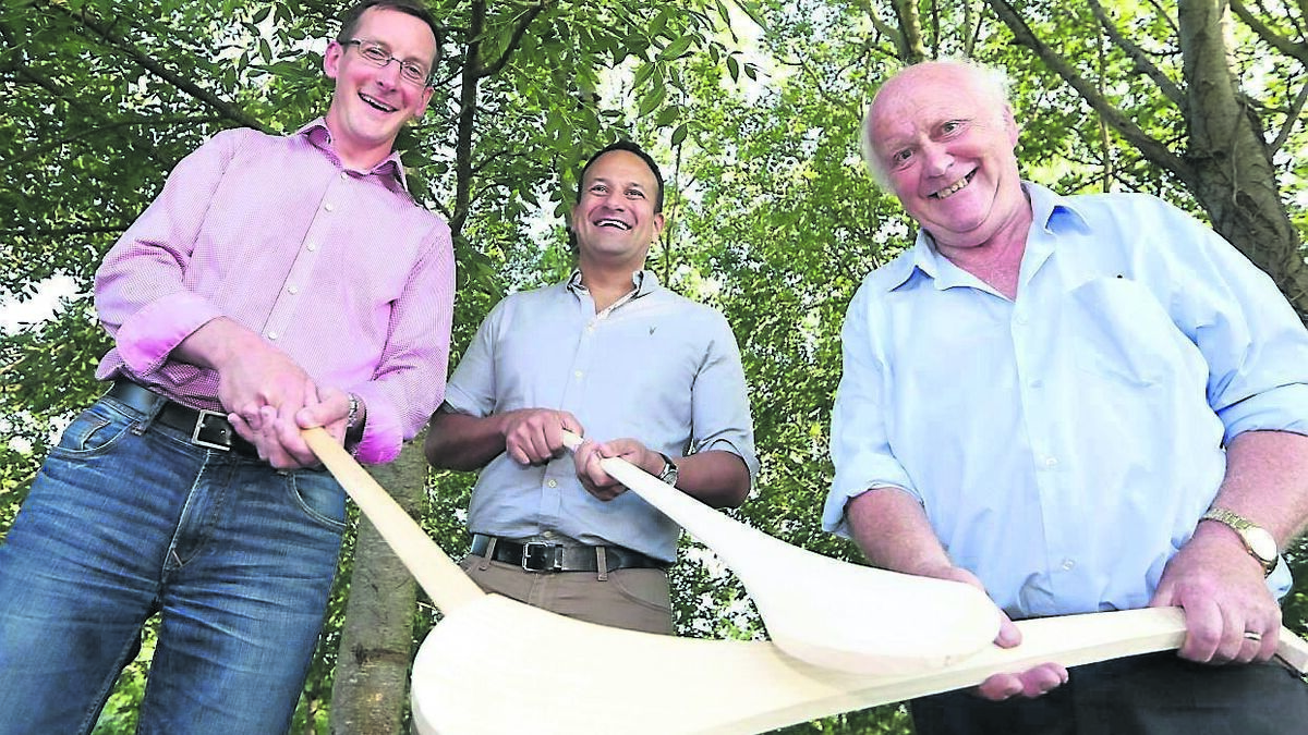 Crash of the ash: My despair as my beloved trees are dying