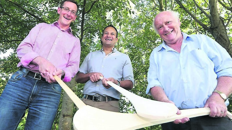 Crash of the ash: My despair as my beloved trees are dying