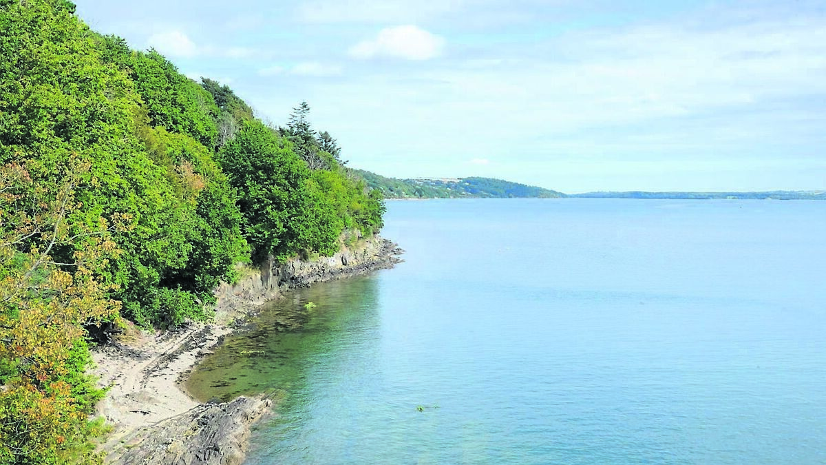Cork County Council may appoint a harbourmaster