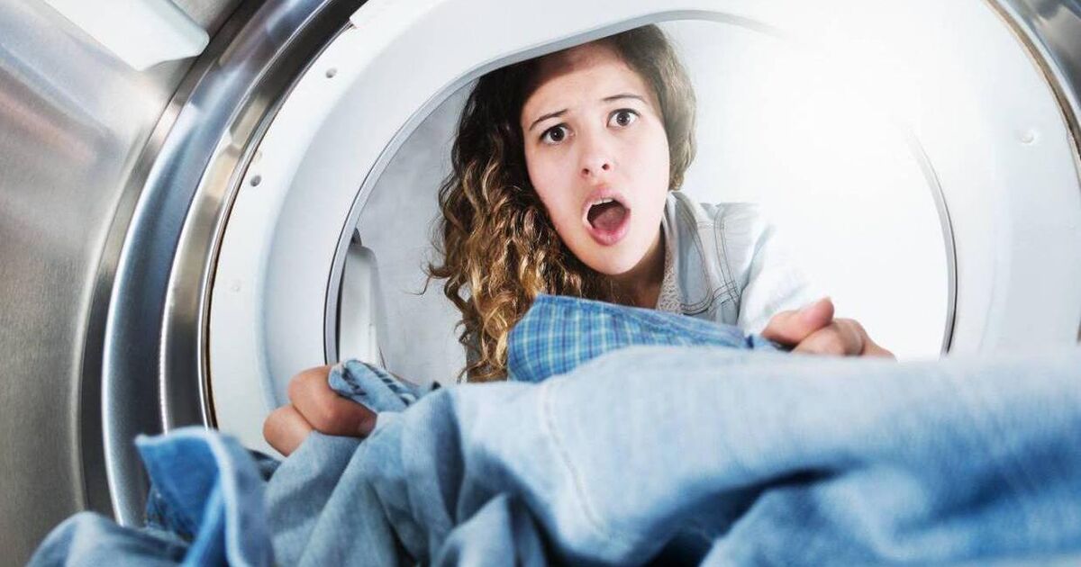 After 25 years my washing machine conked out... but my new one with its 105 page manual put me in a spin! - Vimarsana News