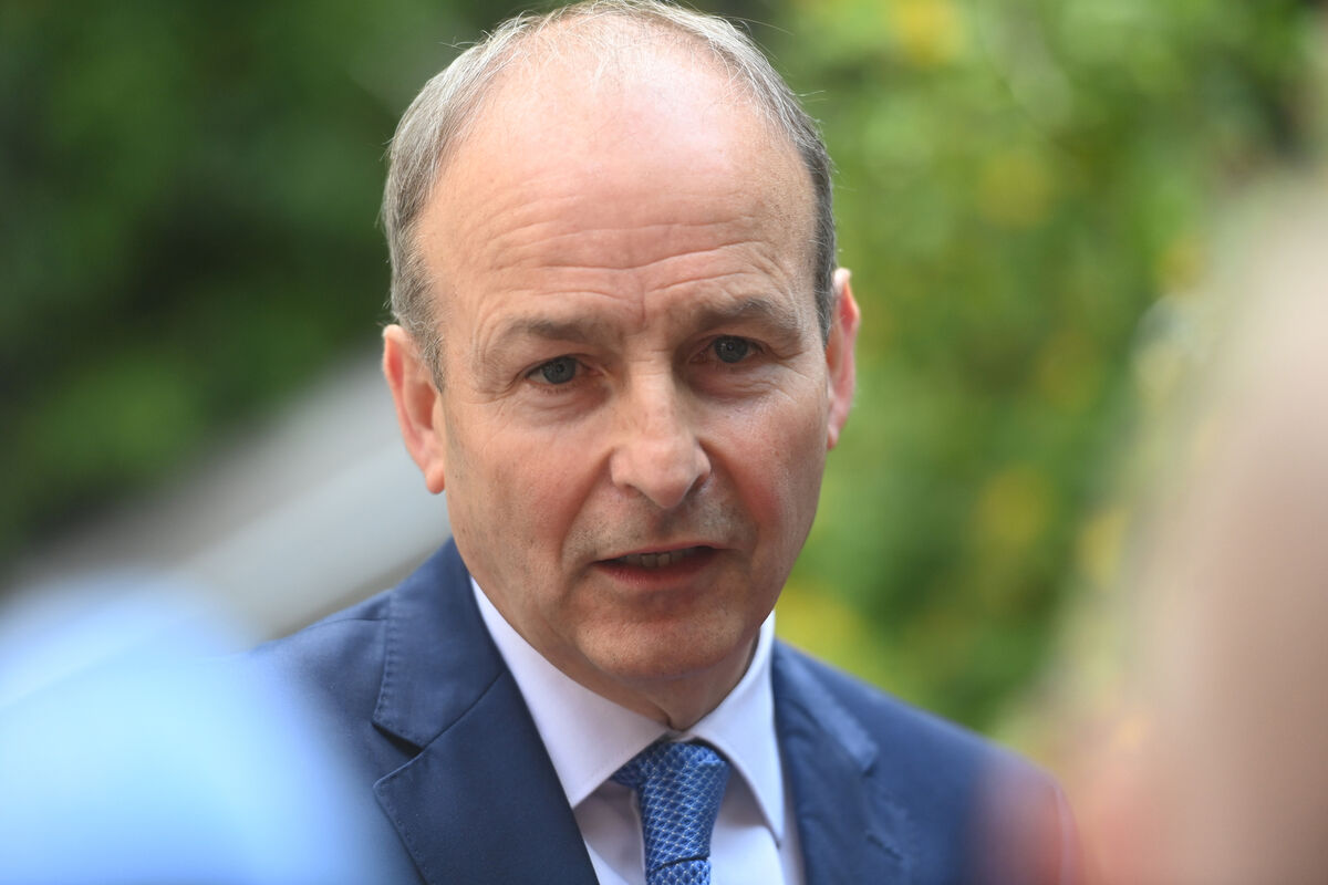 Tánaiste Micheál Martin said: "I think we need more clarification." Pic: Larry Cummins Tánaiste Micheál Martin said: "I think we need more clarification." Pic: Larry Cummins