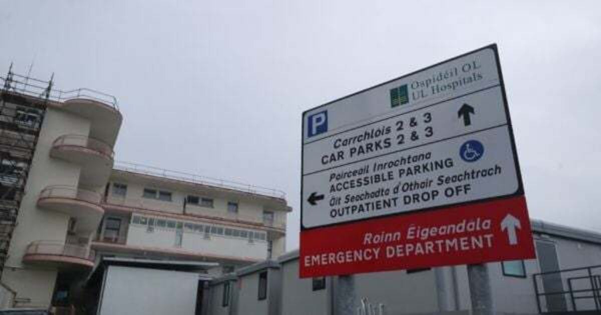 Family of young mother who died in Limerick hospital settle action against HSE - Vimarsana News