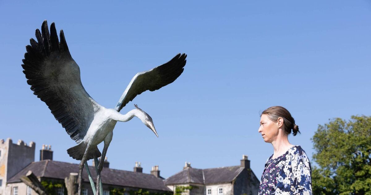 Championing Irish sculpture in annual East Cork exhibition - Vimarsana News