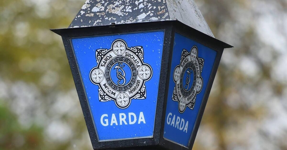 Second man arrested in connection with West Cork and Kerry machinery and livestock thefts - Vimarsana News