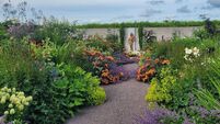 Cork garden is a labour of love for all the family