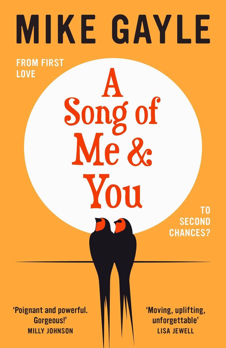 A Song Of Me &amp; You by Mike Gayle.