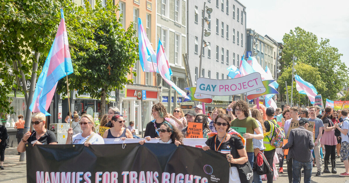 Hundreds turn out for warm and defiant Trans+ Pride Cork - Vimarsana News