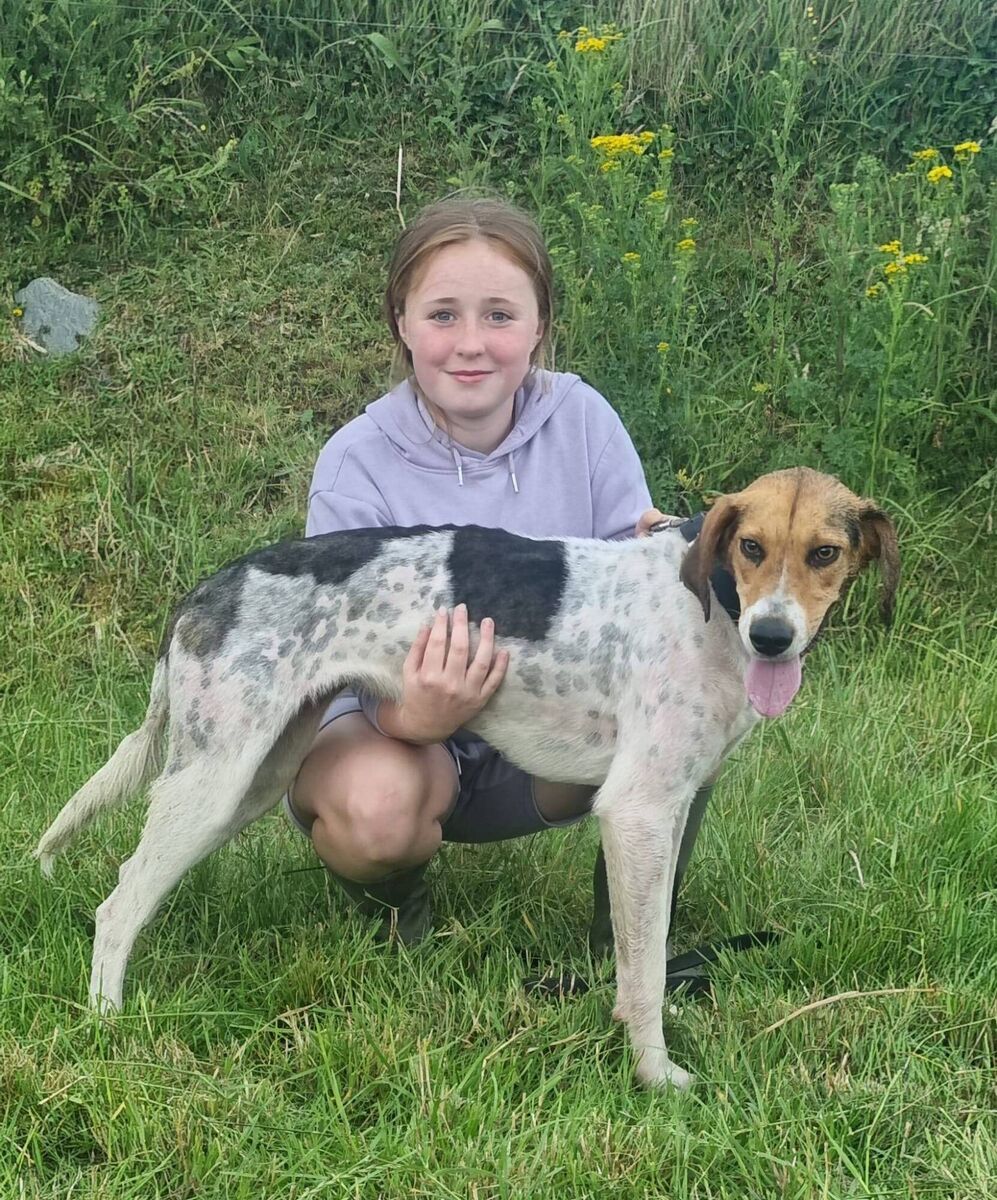 Ava O'Mahony with Hannah Banana of Mayfield Harriers winner of the John Barrett Puppy Memorial Draghunt at Ballineen. Ava O'Mahony with Hannah Banana of Mayfield Harriers winner of the John Barrett Puppy Memorial Draghunt at Ballineen.
