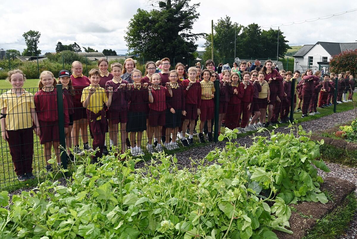 Pupils attending the opening of Rylane National School garden. Picture Denis Minihane.