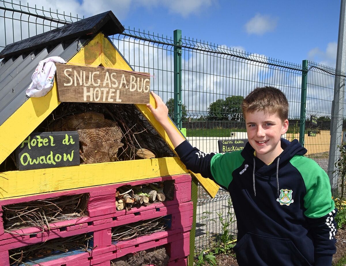 Sixth class pupil Eoghan Buckley whose proposal was selected for the name of the Bug Hotel at the opening of Rylane National School garden. Picture Denis Minihane.