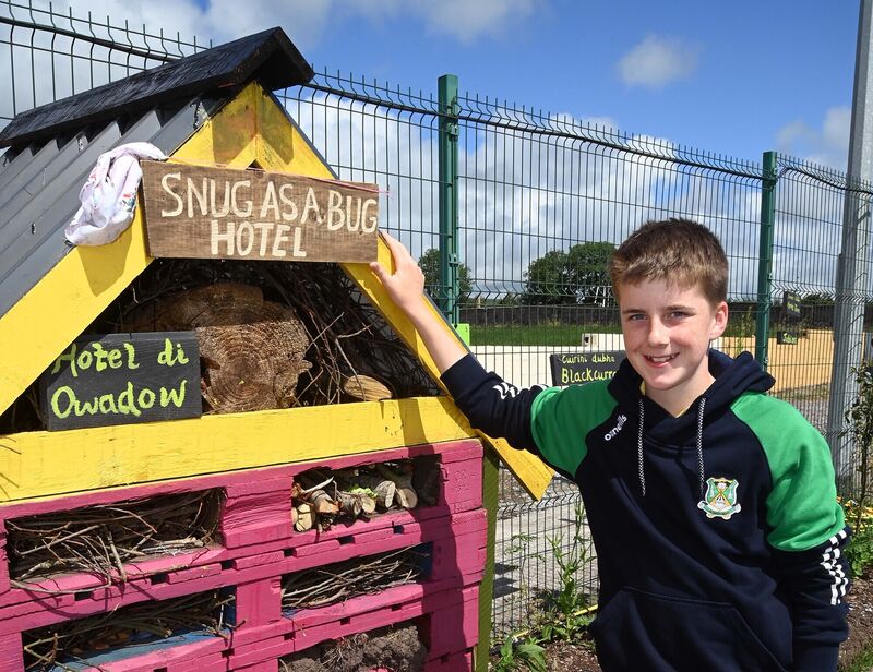 Sixth class pupil Eoghan Buckley whose proposal was selected for the name of the Bug Hotel at the opening of Rylane National School garden. Picture Denis Minihane. Sixth class pupil Eoghan Buckley whose proposal was selected for the name of the Bug Hotel at the opening of Rylane National School garden. Picture Denis Minihane.