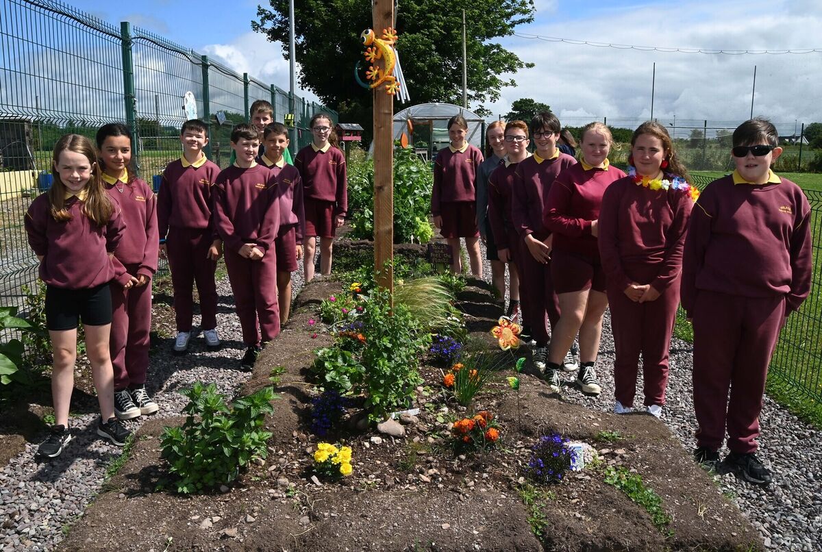 Fifth and sixth class pupils attending the opening of Rylane National School garden. Picture Denis Minihane.