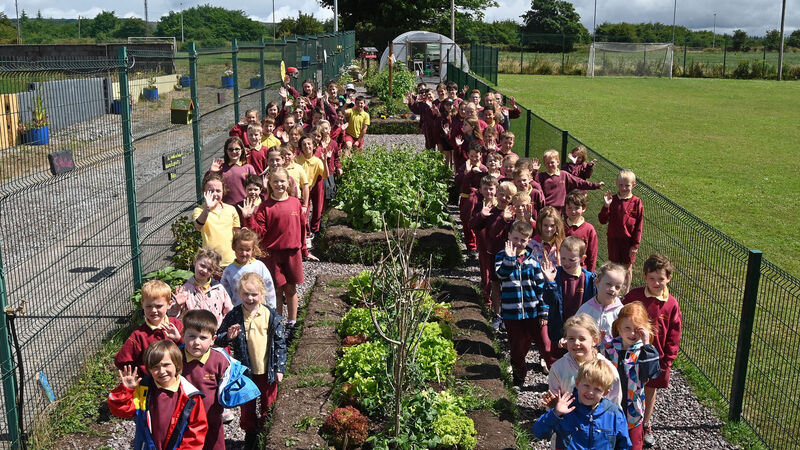 Pictures: County Mayor opens Rylane National School’s new garden