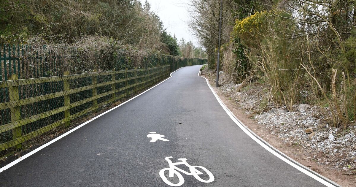 Mooted cycleway linking city to suburbs and beyond applauded as 'a win-win' - Vimarsana News