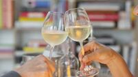 Older couple toasting each other at romantic dinner