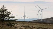Wind farms produce one third of Ireland's energy in first half of the year