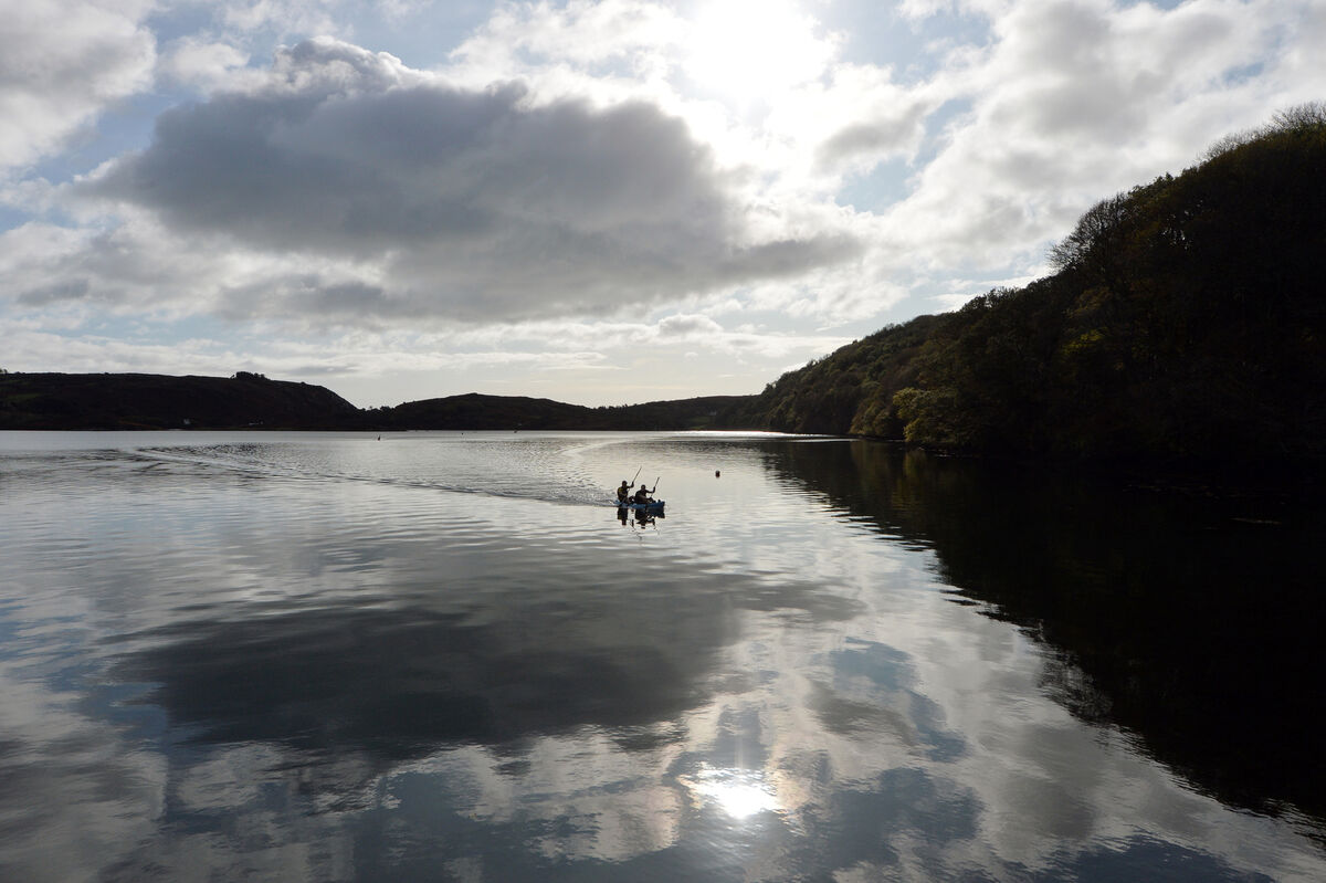 Molly loves visiting Lough Hyne. Picture: Denis Minihane