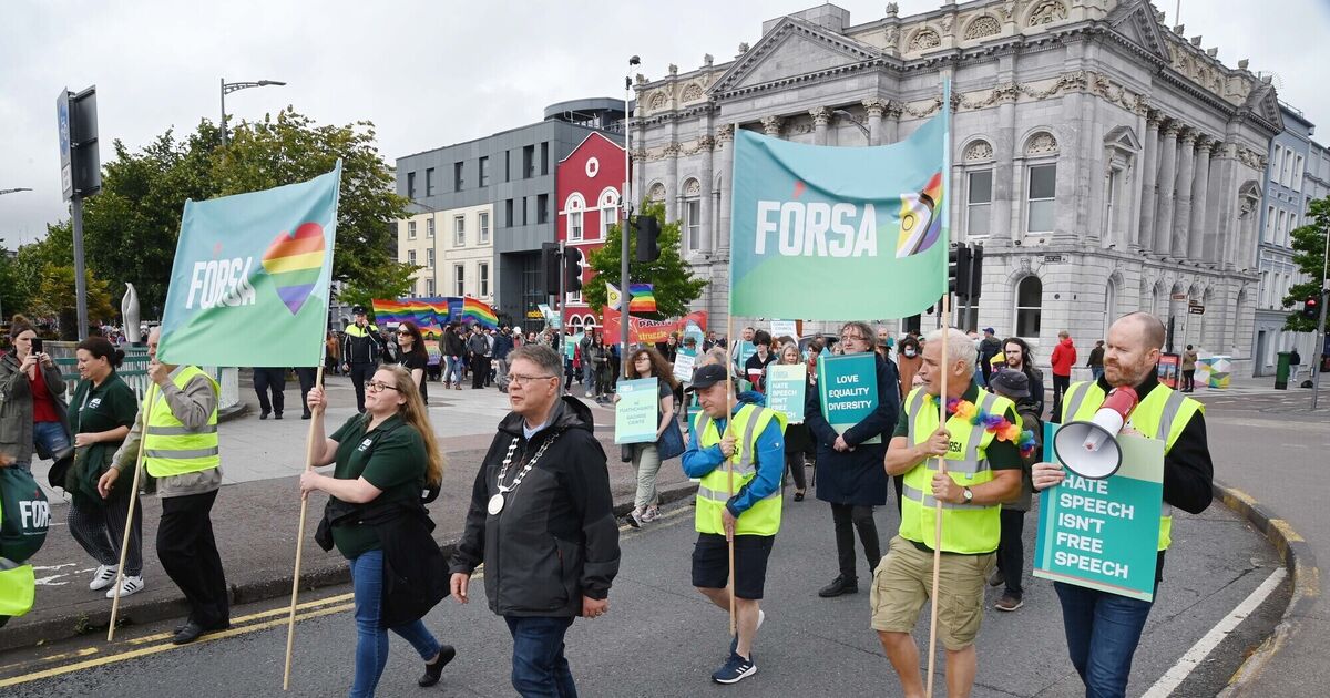 Hundreds turn out in support of Cork City library workers - Vimarsana News
