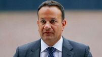 Government to investigate alleged animal welfare breaches, says Varadkar